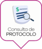 Consulta Protocolo